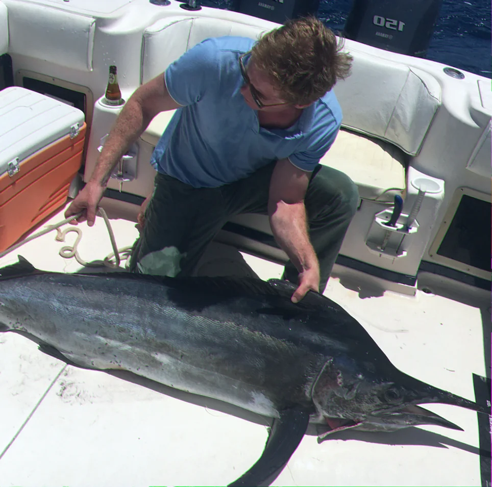 coral sea black marlin fishing regulations
