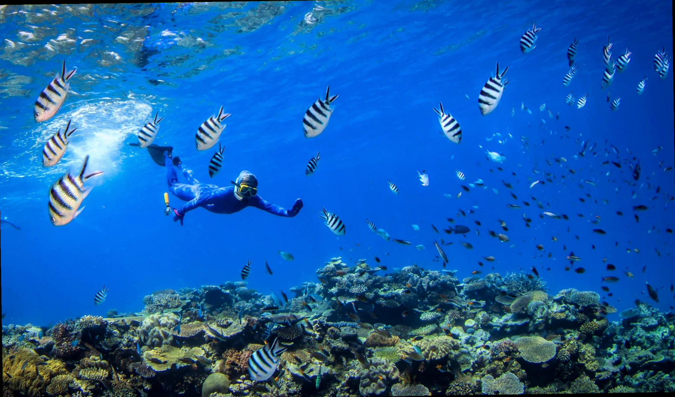 snorkeling tips for australian reefs