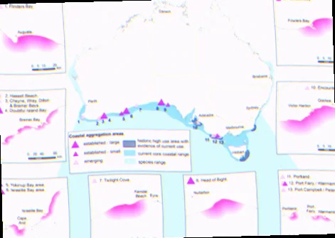 southern right whale nursery locations south australia